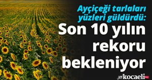 Son 10 yılın rekoru bekleniyor