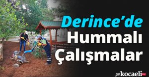 Derince’de Hummalı Çalışmalar