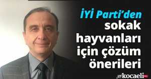 İYİ Parti’den sokak hayvanları için çözüm önerileri