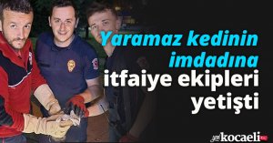 Yaramaz kedinin imdadına itfaiye ekipleri yetişti