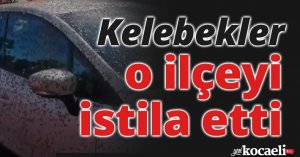 Kelebekler o ilçeyi istila etti