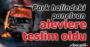Park halindeki panelvan alevlere teslim oldu