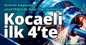 Üretim kapasitesi çeşitliliğinde lider iller belirlendi