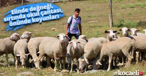 Elinde değneği, sırtında okul çantası, önünde koyunları