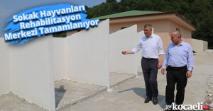 Sokak Hayvanları Rehabilitasyon Merkezi Tamamlanıyor