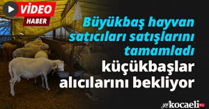 Büyükbaş hayvan satıcıları satışlarını tamamladı, küçükbaşlar alıcılarını bekliyor