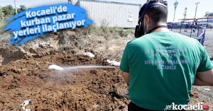 Kocaeli’de kurban pazar yerleri ilaçlanıyor