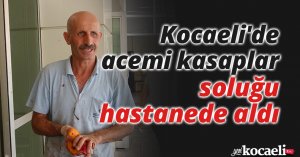 Kocaeli'de acemi kasaplar soluğu hastanede aldı