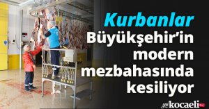 Kurbanlar Büyükşehir’in modern mezbahasında kesiliyor