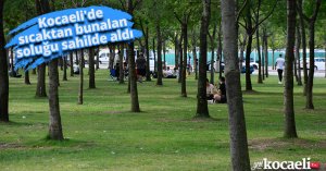 Kocaeli'de sıcaktan bunalan soluğu sahilde aldı