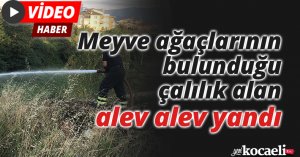 Meyve ağaçlarının bulunduğu çalılık alan alev alev yandı