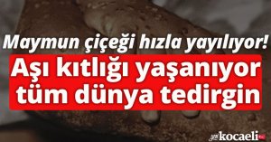  Maymun çiçeği hızla yayılıyor: Aşı kıtlığı yaşanıyor tüm dünya tedirgin