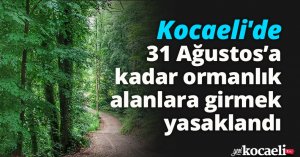 Kocaeli'de 31 Ağustos’a kadar ormanlık alanlara girmek yasaklandı