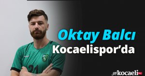 Oktay Balcı, Kocaelispor’da