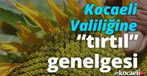 Kocaeli Valiliğine “tırtıl” genelgesi