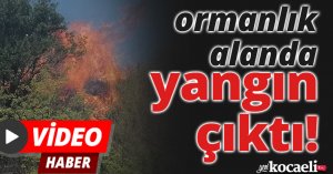 Kocaeli'de ormanlık alanda yangın çıktı
