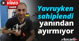 Yavruyken sahiplendi, yanından ayırmıyor