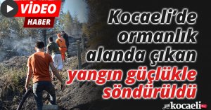 Kocaeli’de ormanlık alanda çıkan yangın güçlükle söndürüldü