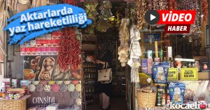 Aktarlarda yaz hareketliliği