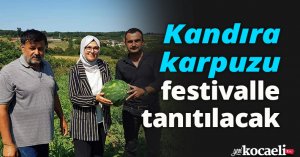 Kandıra karpuzu festivalle tanıtılacak