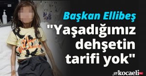 Başkan Ellibeş: 