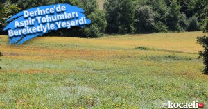 Derince’de Aspir Tohumları Bereketiyle Yeşerdi