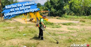 Körfez’de yabani ot ve biçme çalışmaları sürüyor