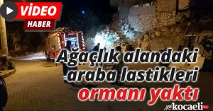 Ağaçlık alandaki araba lastikleri ormanı yaktı