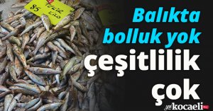 Balıkta bolluk yok, çeşitlilik çok
