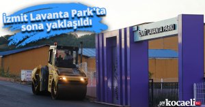 İzmit Lavanta Park'ta sona yaklaşıldı