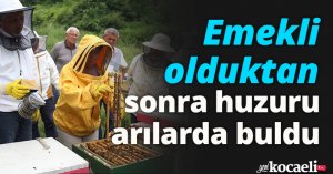 Emekli olduktan sonra huzuru arılarda buldu
