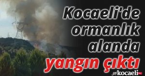 Kocaeli'de ormanlık alanda yangın çıktı