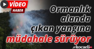 Ormanlık alanda çıkan yangına müdahale sürüyor