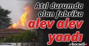Atıl durumda olan fabrika alev alev yandı