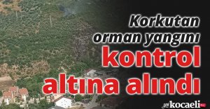 Korkutan orman yangını kontrol altına alındı