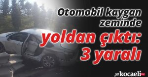 Otomobil kaygan zeminde yoldan çıktı: 3 yaralı