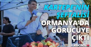 KARTEPE’NİN ŞEFTALİSİ ORMANYA’DA GÖRÜCÜYE ÇIKTI
