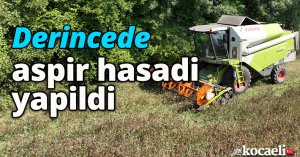 Derince’de Aspir Hasadı Yapıldı