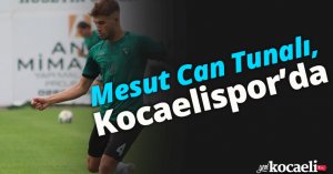 Mesut Can Tunalı, Kocaelispor’da