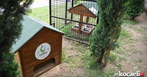 Kafesli kedi evinde pilot uygulama