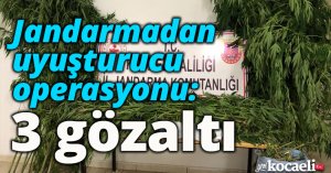 Jandarmadan uyuşturucu operasyonu: 3 gözaltı