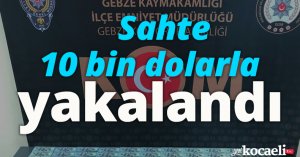 Sahte 10 bin dolarla yakalandı