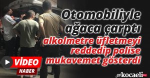 Otomobiliyle ağaca çarptı, alkolmetre üfletmeyi reddedip polise mukavemet gösterdi
