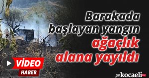 Barakada başlayan yangın ağaçlık alana yayıldı