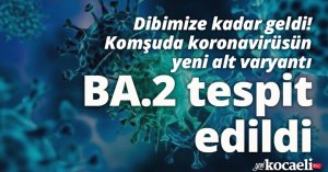 Dibimize kadar geldi! Komşuda koronavirüsün yeni alt varyantı BA.2 tespit edildi