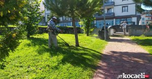 Başiskele’de Sonbahar Temizliği