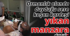 Ormanlık alanda duyduğu sese koşan kardeşi yıkan manzara