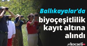 Ballıkayalar'da biyoçeşitlilik kayıt altına alındı