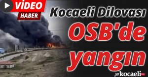 Kocaeli Dilovası OSB'de yangın