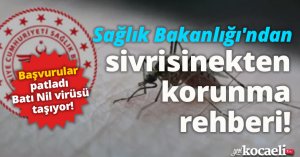 Sağlık Bakanlığı'ndan sivrisinekten korunma rehberi! Başvurular patladı Batı Nil virüsü taşıyor!